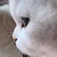 mioのプロフィール画像