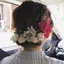 stellaのプロフィール画像