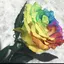 こちゃままのプロフィール画像