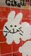 南半球のプロフィール画像