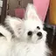 めいのプロフィール画像