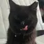 まののプロフィール画像