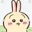 うさぎのプロフィール画像