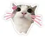 真琉のプロフィール画像