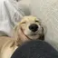 さゆのプロフィール画像