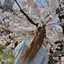 Eのプロフィール画像