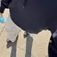 寒波師森田のプロフィール画像