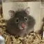 naoのプロフィール画像