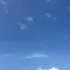 (ᐡ - ·̫ -ᐡ)のプロフィール画像