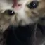 りのプロフィール画像