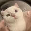 rukaseyoのプロフィール画像