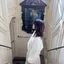 ネネのプロフィール画像