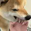 aのプロフィール画像