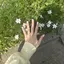 はるかのプロフィール画像