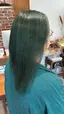 MeatOggのプロフィール画像