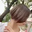 ふじあやのプロフィール画像