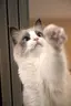 りんのプロフィール画像