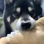 mのプロフィール画像