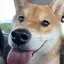 みちのプロフィール画像