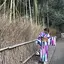 ぐでたまのプロフィール画像