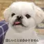 ⭐️のプロフィール画像