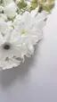 Ririのプロフィール画像