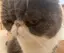 ふーりのプロフィール画像