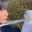 ちょのプロフィール画像