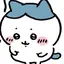 りこのプロフィール画像