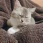 reiのプロフィール画像