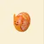 みかん小僧のプロフィール画像