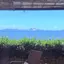 Ricoのプロフィール画像