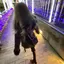 🐰のプロフィール画像