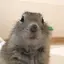 しゃものプロフィール画像