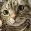 naのプロフィール画像