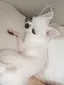 えりこのプロフィール画像