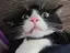 mskのプロフィール画像