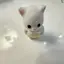 もものプロフィール画像