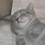 N.のプロフィール画像