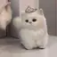 すのプロフィール画像