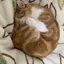 てとのプロフィール画像