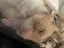 やまちゃんのプロフィール画像
