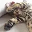 えんのプロフィール画像