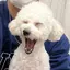 Allisonのプロフィール画像