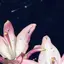 🎀のプロフィール画像