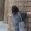 はやしのプロフィール画像