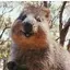 りんのプロフィール画像