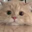れいなのプロフィール画像