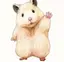 りこのプロフィール画像