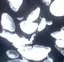 riNoのプロフィール画像